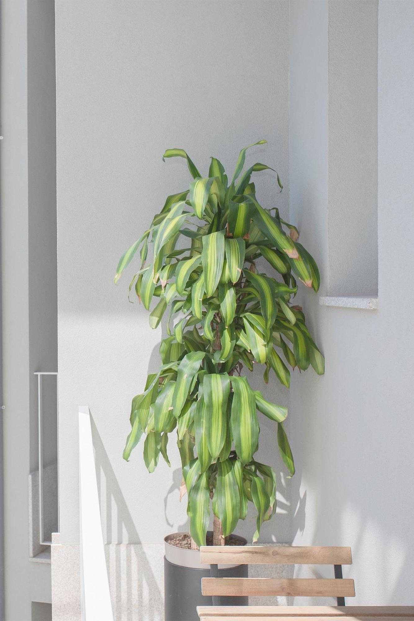 Liiiving In Porto - Art Design Apartment Eksteriør bilde